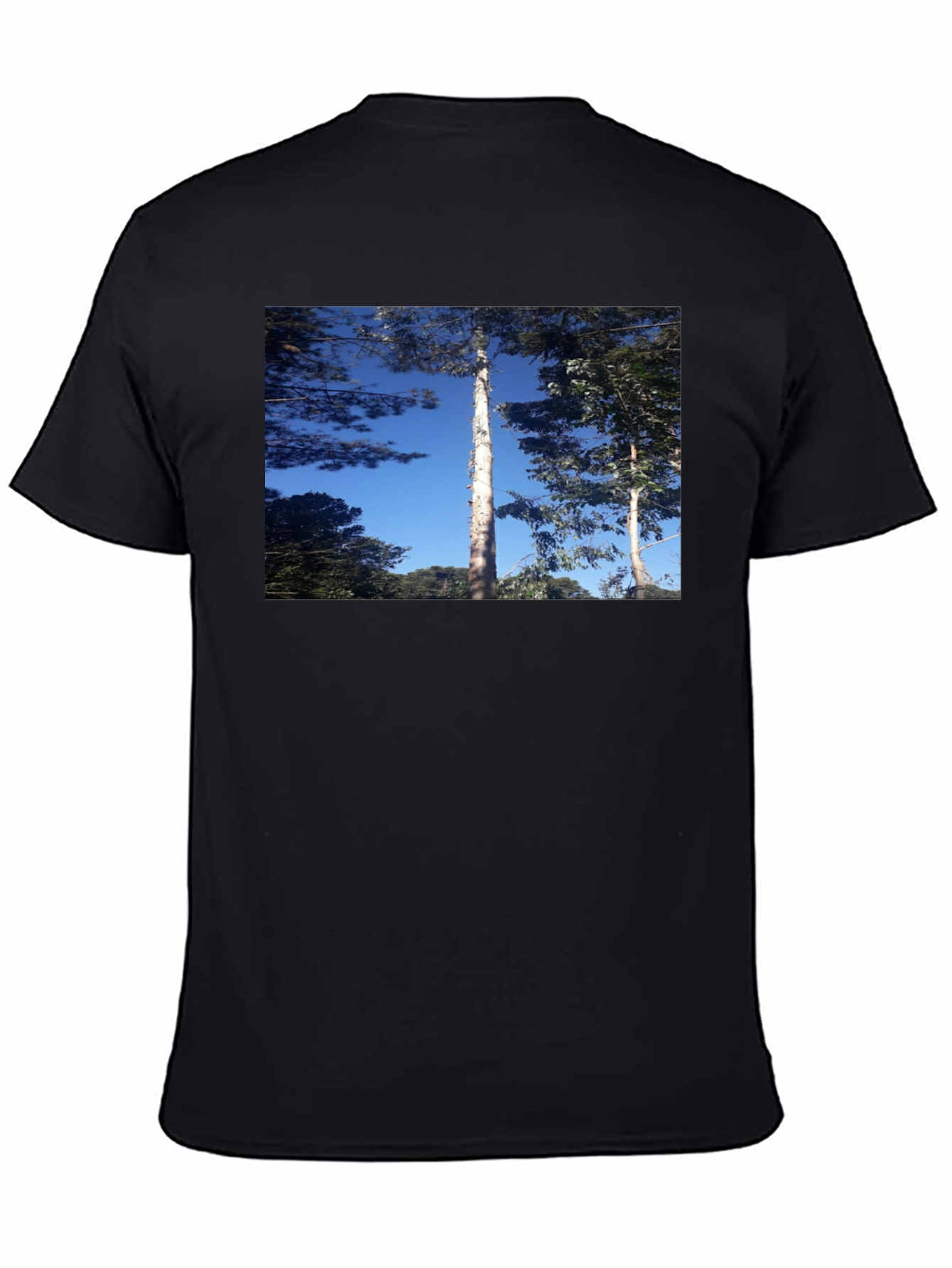 Nature Scene Black T-Shirt