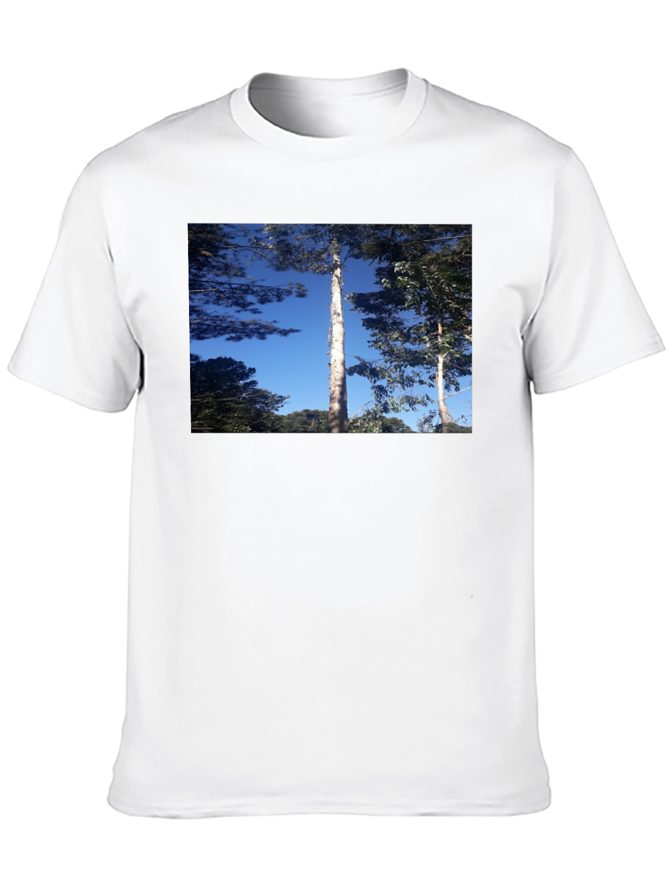 Nature Scene Black T-Shirt