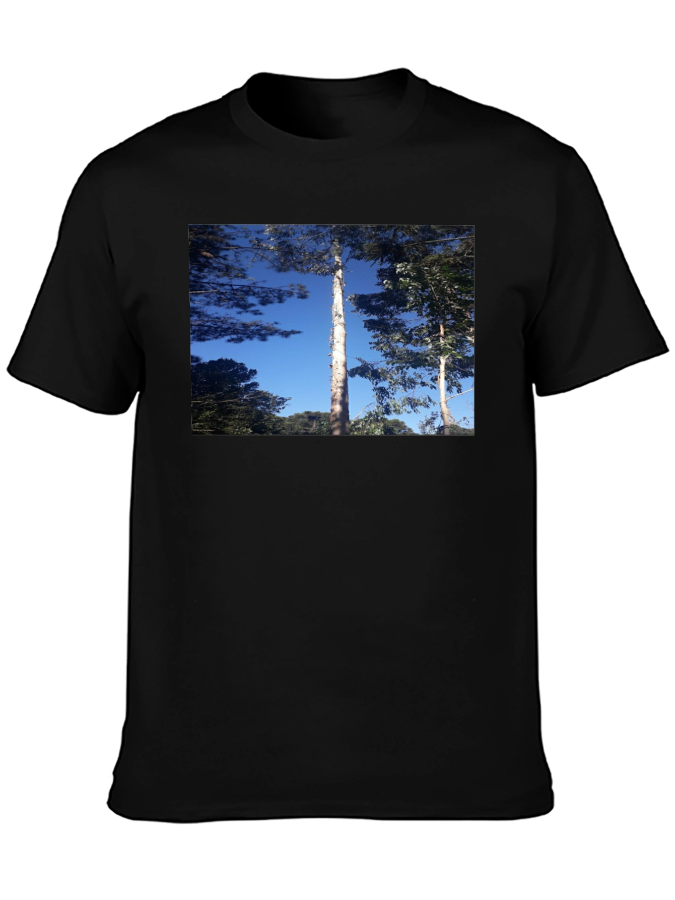 Nature Scene Black T-Shirt