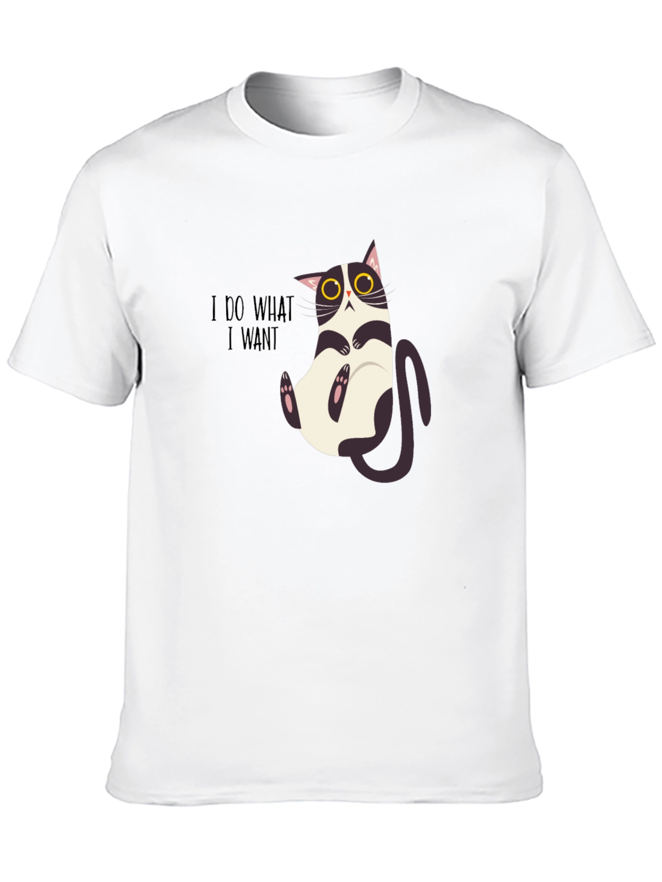 I Do What I Want Funny Cat Graphic Tee
