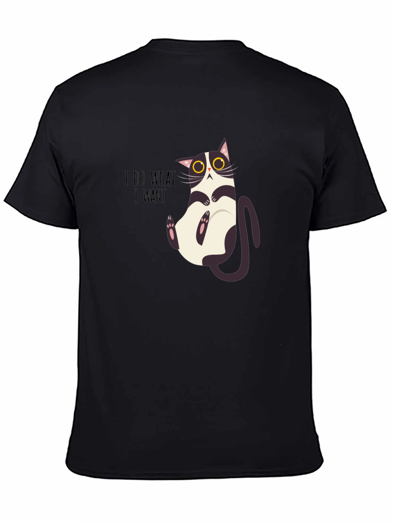 I Do What I Want Funny Cat Graphic Tee