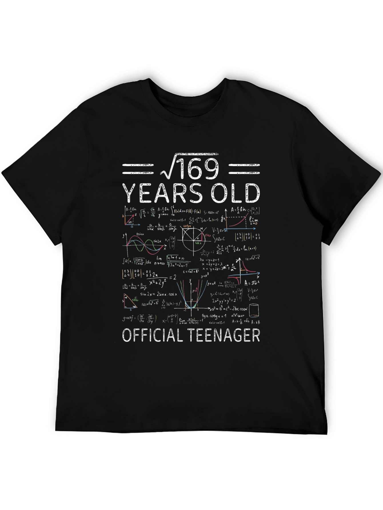 Funny 13th Birthday T-Shirt - Official Teenager