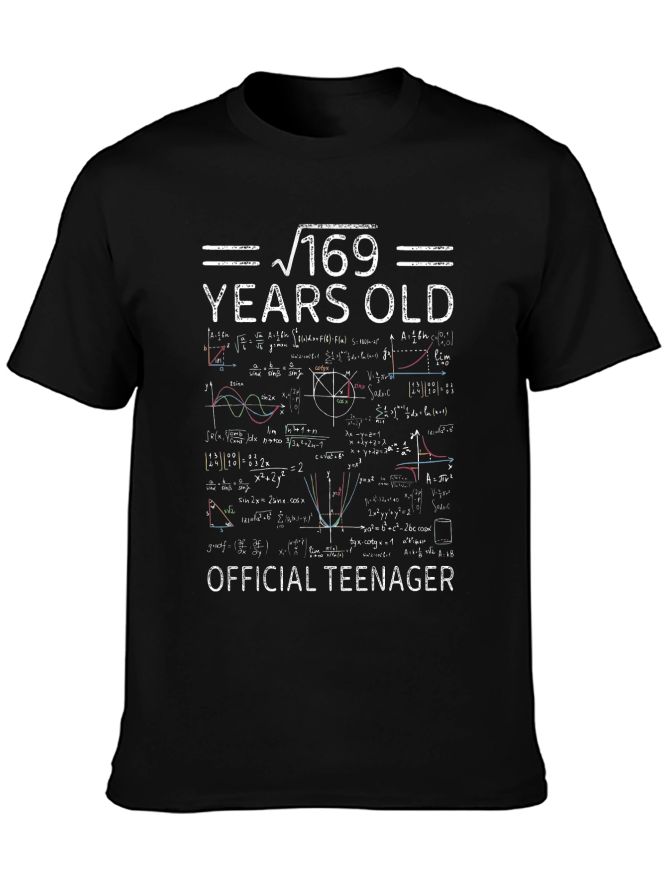 Funny 13th Birthday T-Shirt - Official Teenager