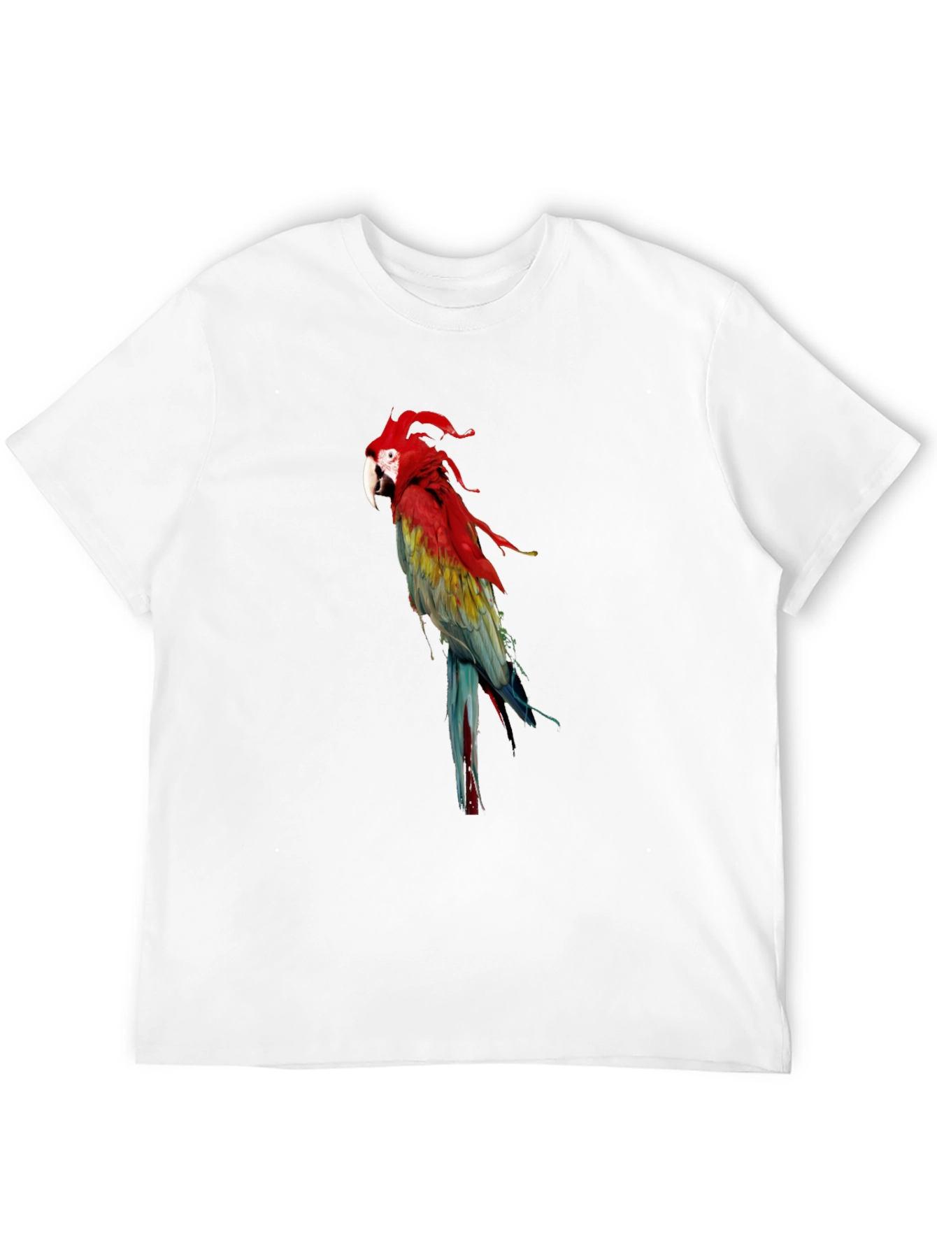 Parrot Graphic Tee - Vivid Bird Print T-Shirt