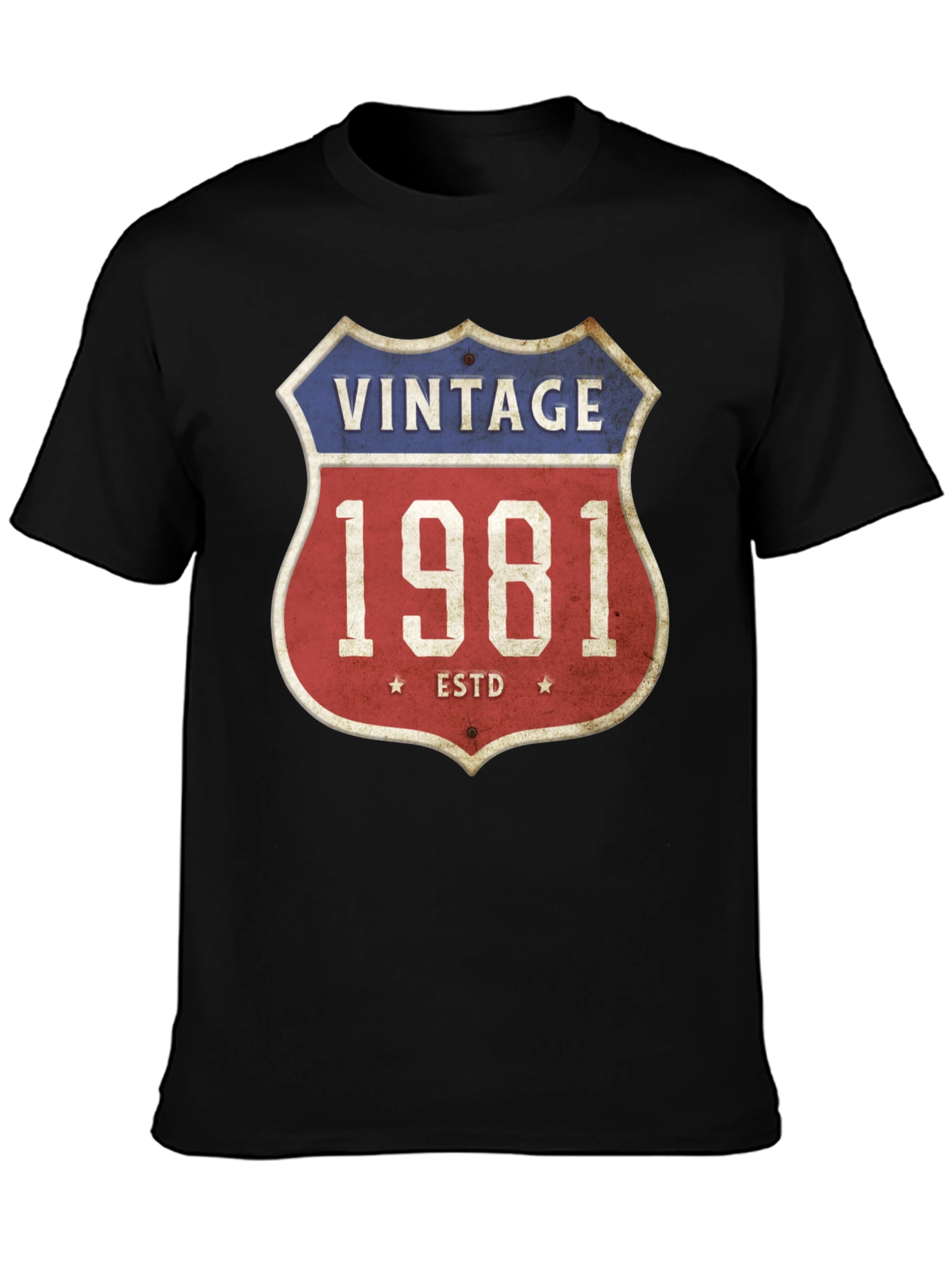 Vintage 1981 T-Shirt